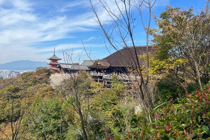 Sacred Treasure Fushimi Inari and Kiyomizu Dera Tour - Guide style can make or break it, from Andrea to Robert to Joanes and Ricardo