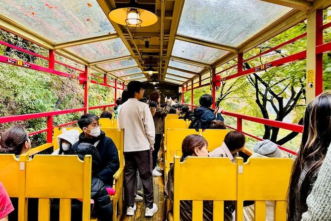 Sagano Romantic Train Ticket - Photos, comfort, and when to dress like a local