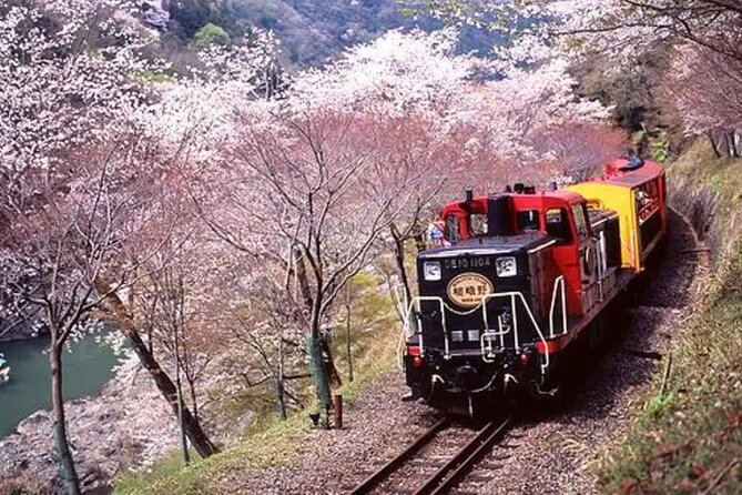 Sagano Romantic Train Ticket - Your one-way reserved seat, and why seat assignment matters