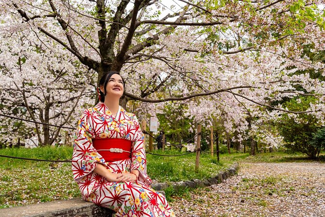 Sakura Season Photoshoot Experience in Kyoto - Key points to know before you go
