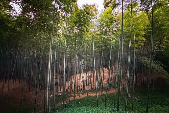 Scenic Green Tea Fields of Hidden Kyoto & Local Tea Exp (Private) - Shoju-in (Seijuin-Temple): The Heart Window View in Kyoto’s South Countryside