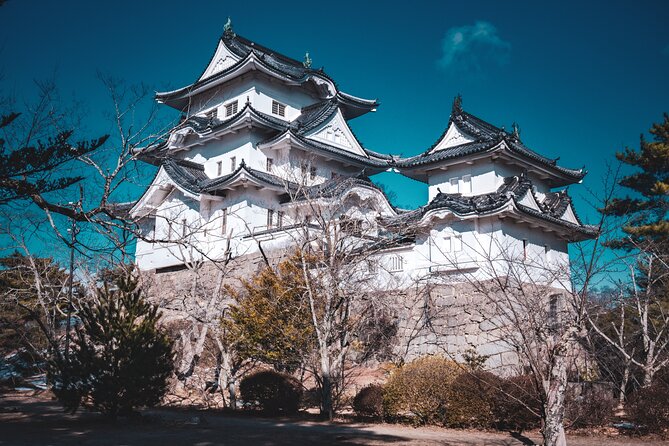 Secrets of Ninjas X Samurais: Private History Tour to Iga & Koka - Iga-ryu Ninja Museum: when you want the setting, not just props