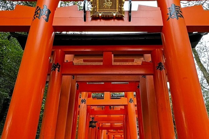 Single- & multi-day Adventures within Kyoto Nara Osaka Kobe - Key things that make this Kyoto, Nara, Osaka, Kobe private tour work