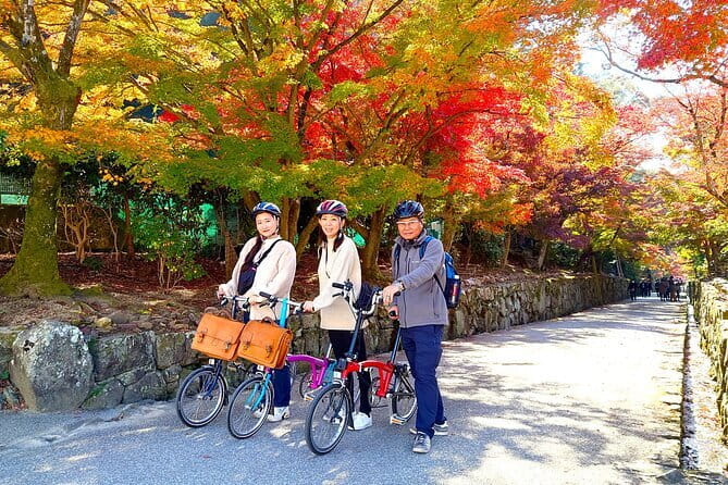 Slow Cycling Tour at Uji's Matcha Green Tea Fields and Heritage - Key points before you go