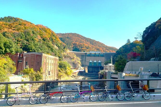 Slow Cycling Tour at Uji's Matcha Green Tea Fields and Heritage - Price and value: what the $130.46 includes (and what it does not)