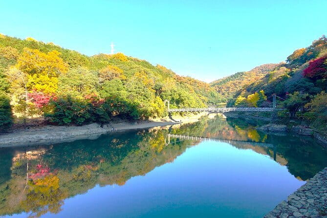 Slow Cycling Tour at Uji's Matcha Green Tea Fields and Heritage - Starting with tea culture at Chazuna (Chazuna exchange center)