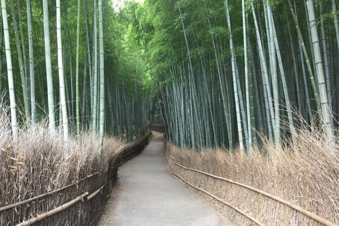 The Art of Geisha: Exclusive Show & Gion Walking Tour - Tea, Snacks, and Why This Part Is More Than a Break