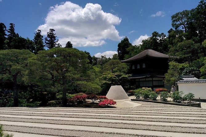 The Kyoto VIP Experience! - Bamboo Forest Street: photos, timing, and keeping your energy