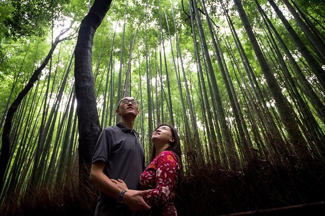 The right way to know Kyoto - How much is this tour, and where your money really goes