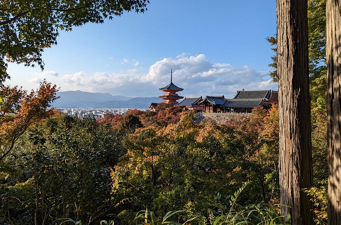 Tour in Kyoto with a Goverment Certified Tour Guide - Fushimi Inari-taisha first: torii paths and fast context