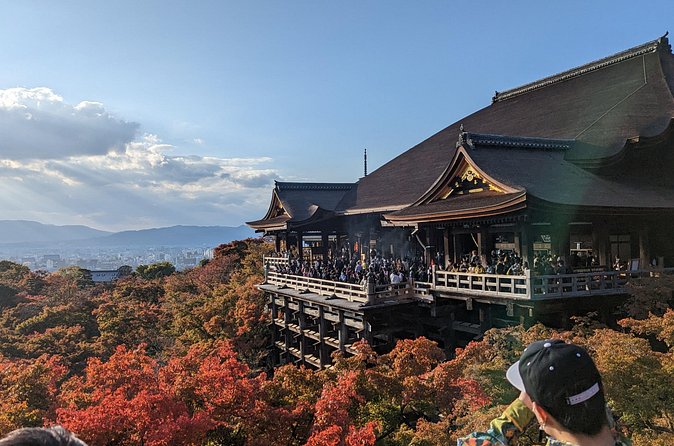 Tour in Kyoto with a Goverment Certified Tour Guide - Arashiyama bamboo forest and Tenryu-ji: the calmer chapter