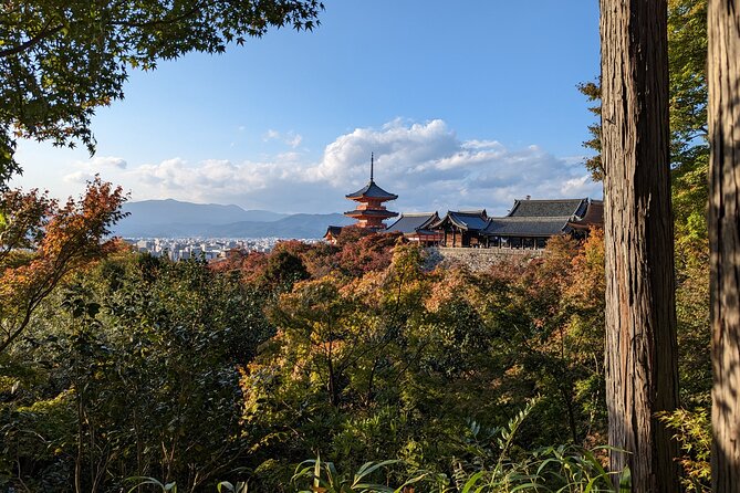 Tour in Kyoto with a Goverment Certified Tour Guide - Pickup, meeting points, and how to protect your day