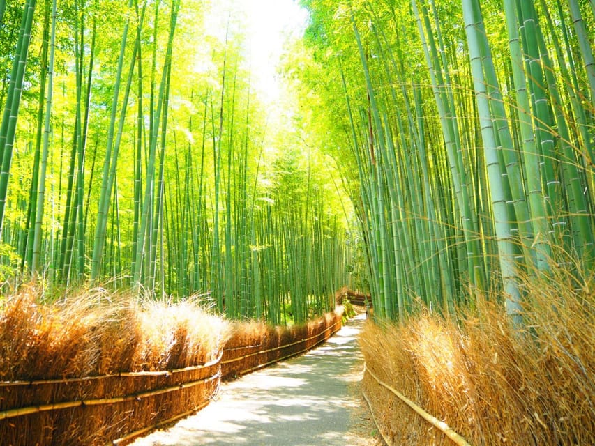 Traversing Kyoto's Scenic West - Arashiyama to Kinkakuji - Meeting Point and How the Day Gets Rolling (9:00 AM Start)