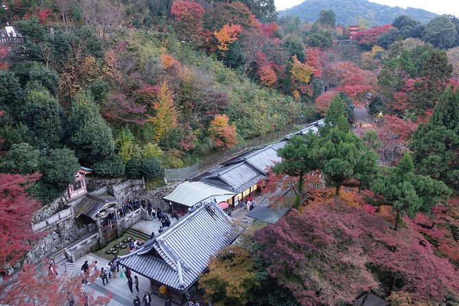 TREASURES of Kyoto: Fushimi Inari, Kiyomizu Temple, and more! - Small Group Size: Getting Answers Without Losing the Schedule