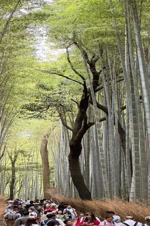 Treasures of Kyoto: Gion & historical Walking Tour - Price and logistics: is $44 a fair deal for Kyoto?