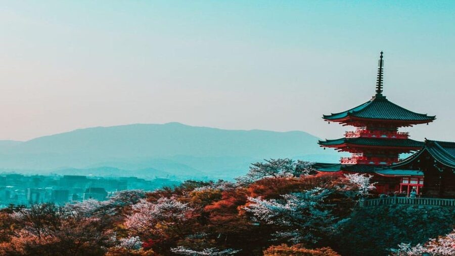 Treasures of Kyoto: Gion & historical Walking Tour - Who should book this tour