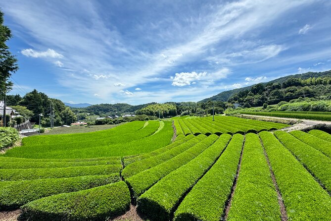 Uji and Wazuka Matcha Farm Half Day Private Guided Tour - Lunch is included, and it changes the feel of the day