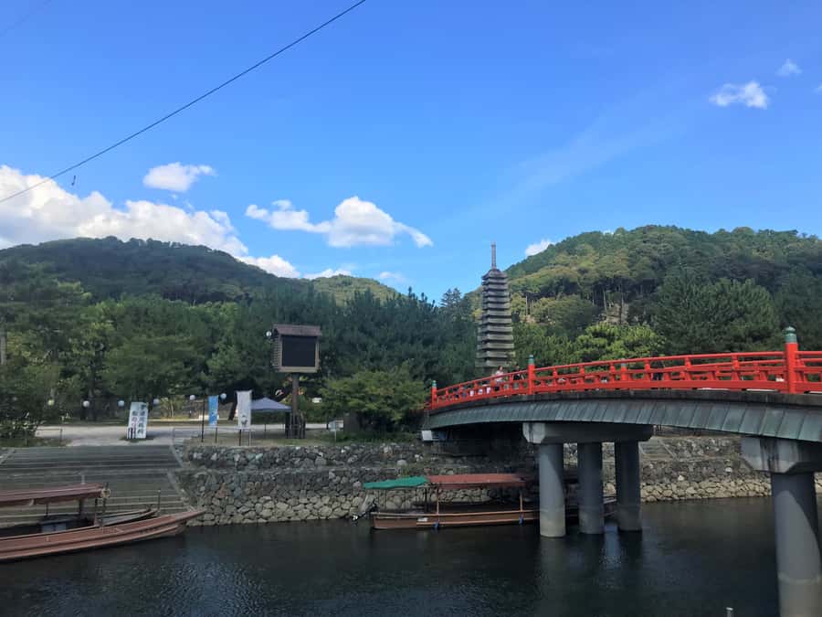 Uji: Green Tea Tour with Byodoin and Koshoji Temple Visits - Gyokuro tasting: learning why brewing changes everything