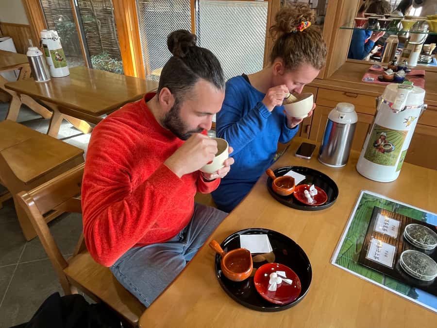 Uji: Green Tea Tour with Byodoin and Koshoji Temple Visits - Getting there and keeping the 4-hour flow