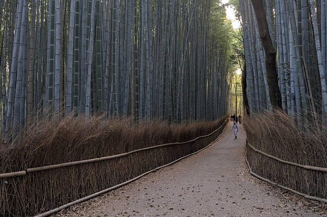 Zen Run in Arashiyama - Stop 1: Togetsukyō Bridge and Katsura River views